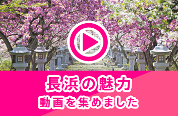 長浜の魅力　動画を集めました