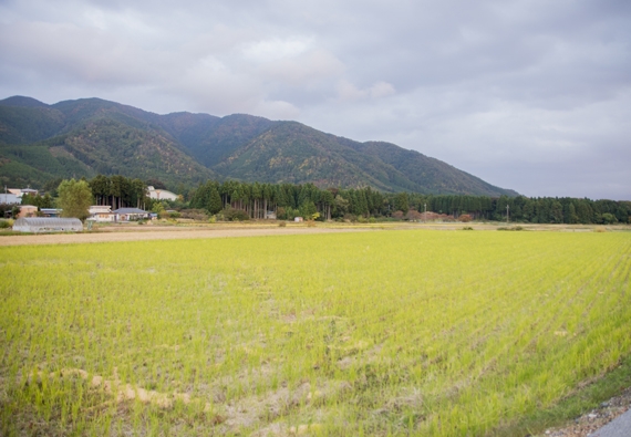 あやべとうふ店 綾部 徹郎